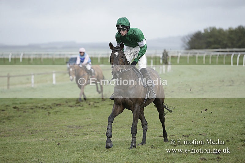 PtP 150320 0431 - New Forest Point-to-Point Larkhill 15/03/20