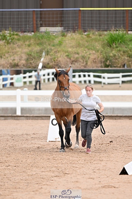 250716-135702-00803 - Trot Up 1.30 to 2.30