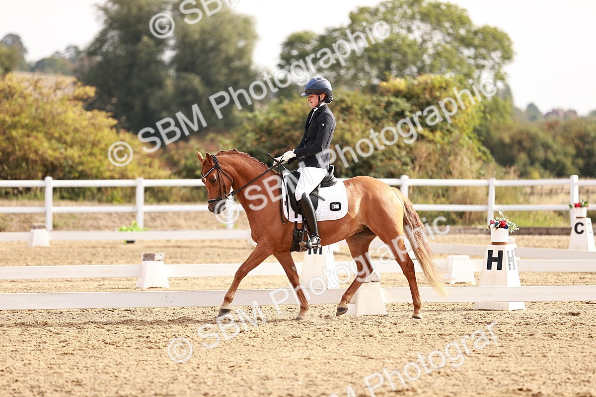 SBM_016917 - Class 10 - Medium 6