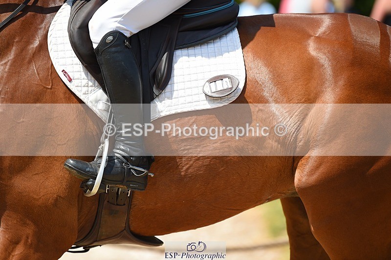 230528-121232-15584 - 318-JUST_HAVE_FAITH_TN-Alfie_Marshall-SUNTrotUp+SJ