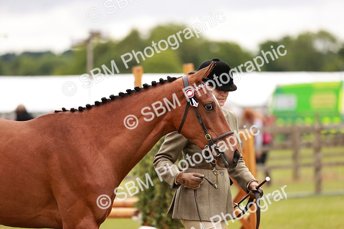 SBM_01704 - Class 31-34 Hack Breeding