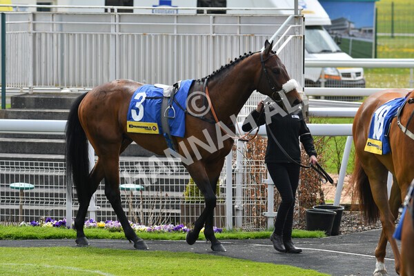 yr12052021r2-2 - Race 2 2.10pm Churchill Tyres Stakes