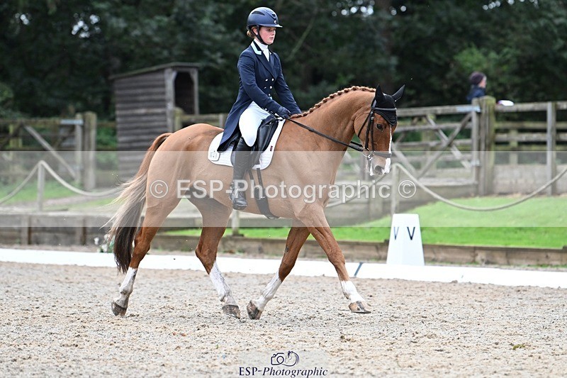 231019-130153-02913 - 049-AUGUSTUS.IMPERIOUS-Ines.Mitchell-DR