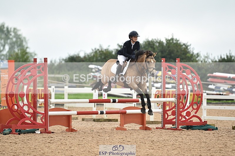 230902A-113538-00762 - Cls 2B Pony Small 80cm