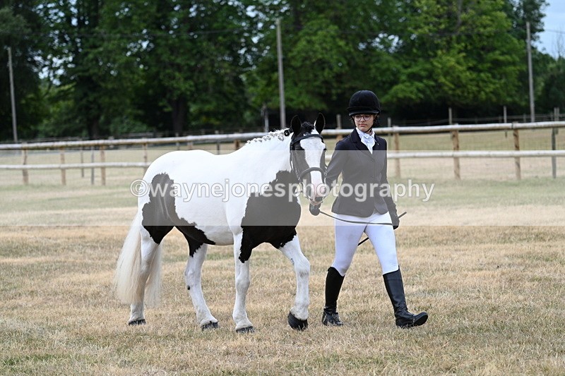 WJ7_1465 - Class 4 Prettiest Mare up to 14.2hh in hand