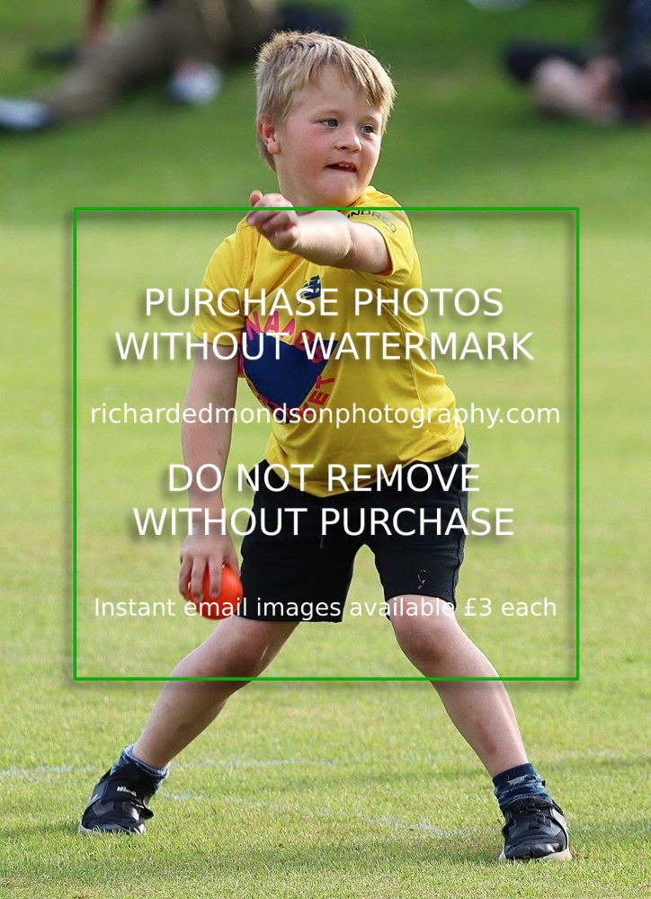 IMG_1455 - Select Cricket Images (May)