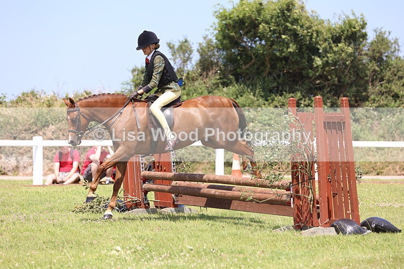 JPP_2585 - Class 21: Working Hunter 60cm