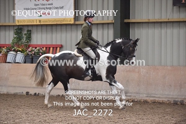 JAC_2272 - CLASS 2 Novice Working Hunter