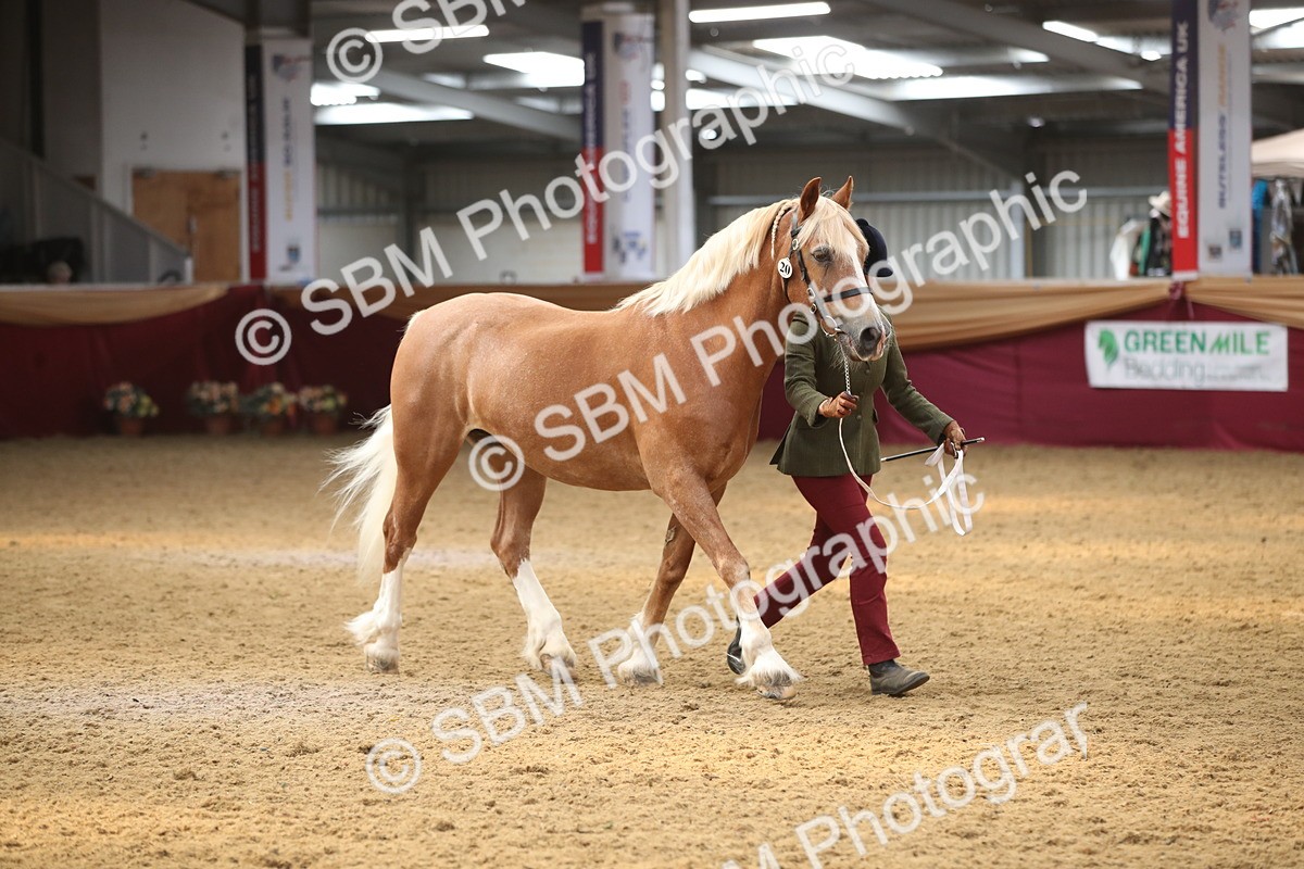 SBM_05340 - Class 8R - Regional IH Veteran