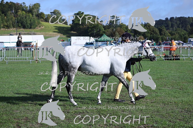 APP_2532 - Class 18 Young Handler