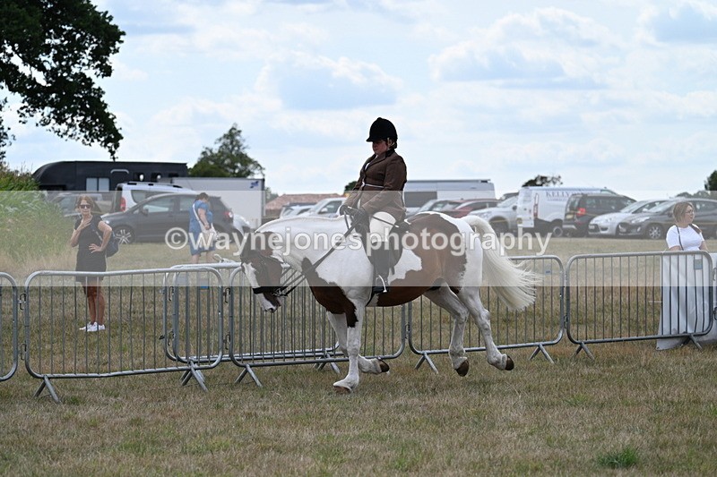 WJ7_5047 - Class 12 Ridden Cob
