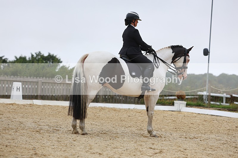 3E7A7403 - Class 9: Elementary 4 2024 - No sections