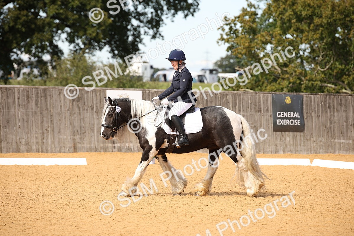 SBM_21769 - D5 - Small Tour Championship - Intro C