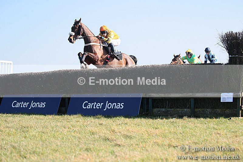 PtP 230219 293 - Vine & Craven Point-To-Point - Barbury 23/02/19