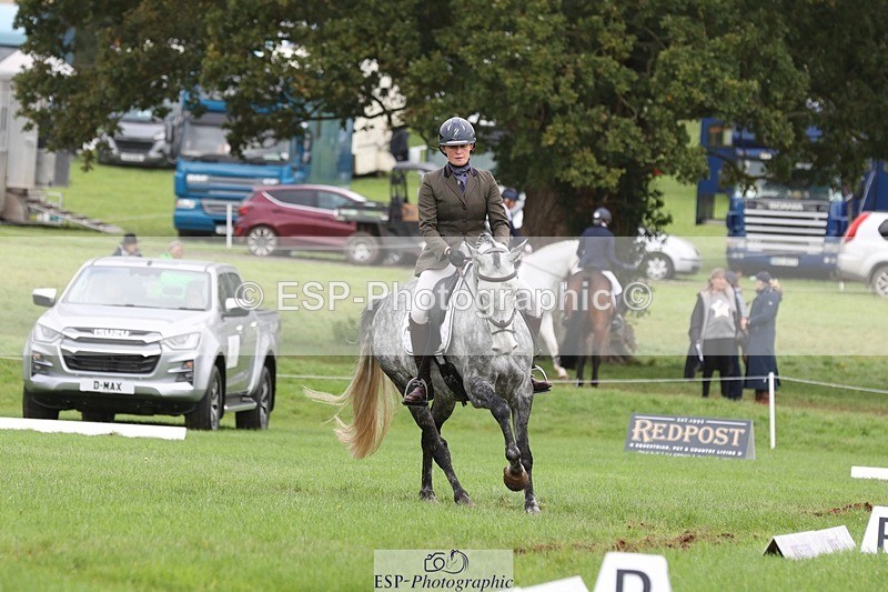 231019-153134-04913 - 553-HARLEQUIN.RABBIT-Althea.Bleekman-DR