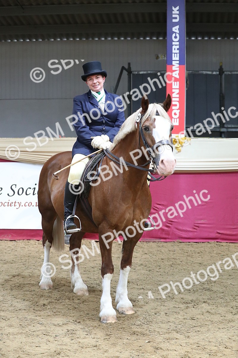 SBM_16495 - Class 502 M&M Ridden Supreme Final