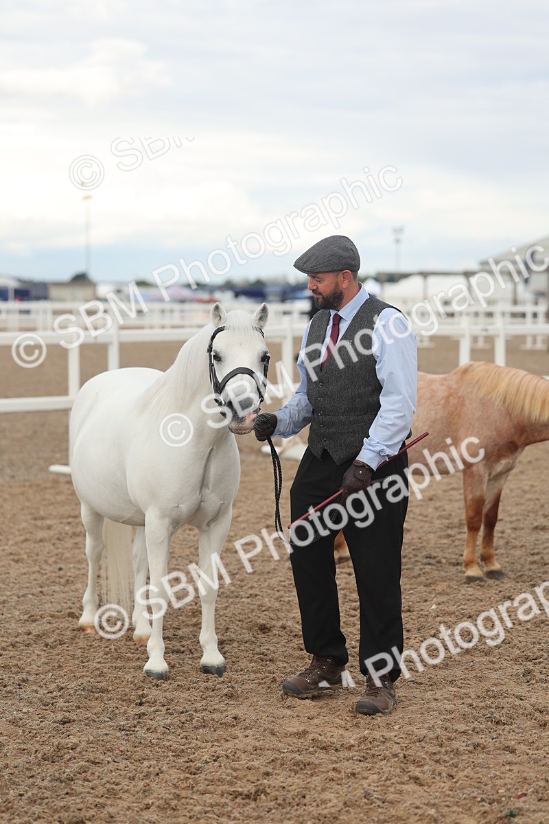 SBM_08526 - Class 29 - IH Veteran Pony