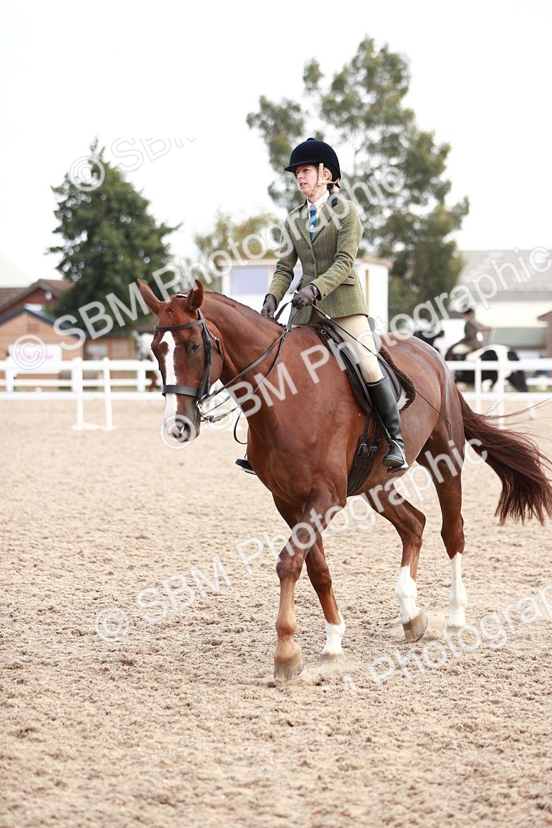 SBM_15537 - Class 213 Ridden Hunter -Large