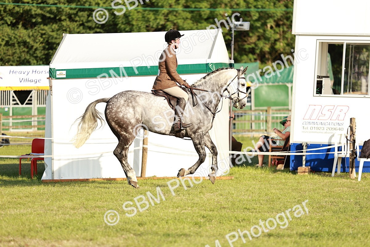 SBM_20456 - Class 117-119 - Sport Horse Working Hunter
