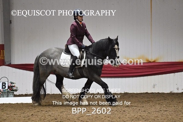 BPP_2602 - MFS PRELIM