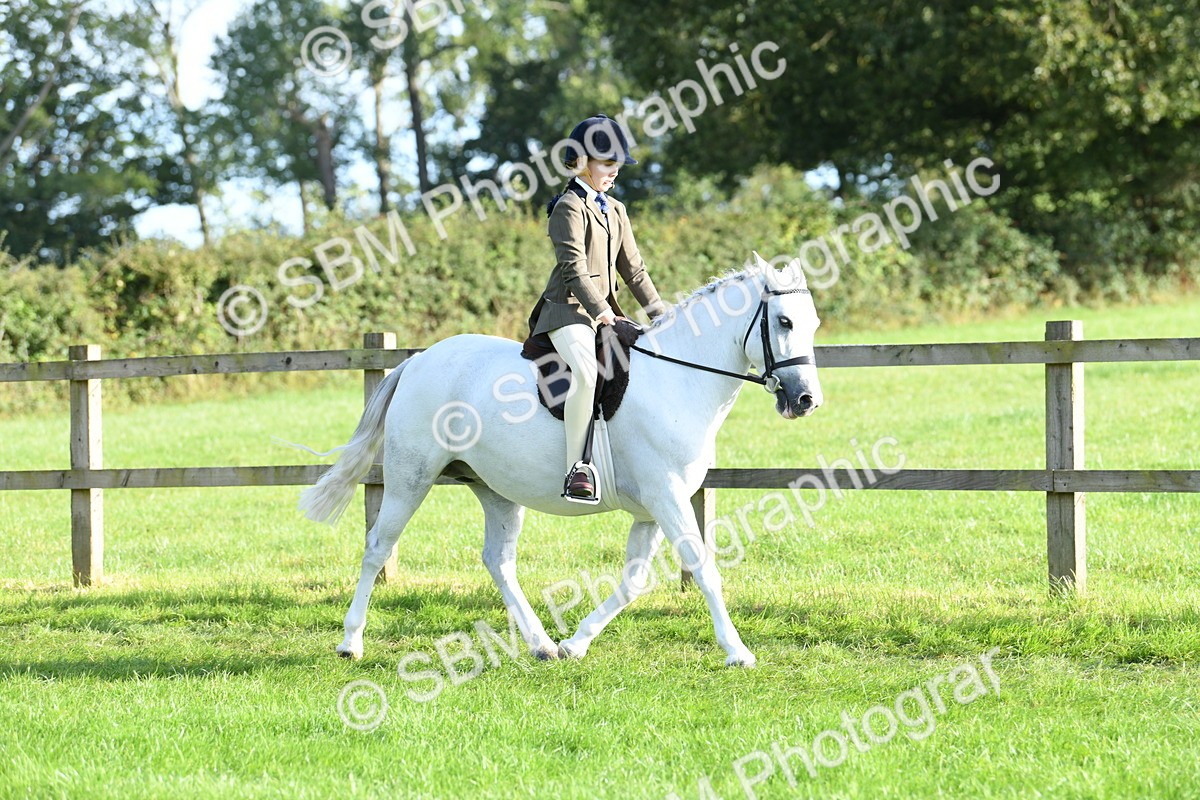 SBM_52379 - S22 - 1st Ridden Show & Show Hunter Pony