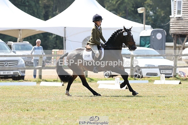 250823A-123412-29831 - Arena C