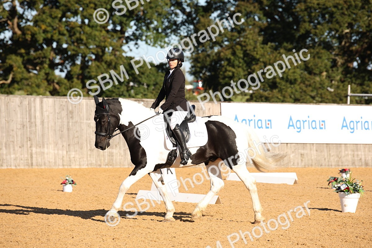 SBM_01817 - D2 Small Tour Championship Intro C