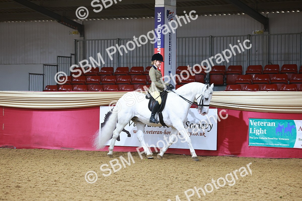 SBM_07568 - Class 101 - HOYS Veteran Qualifier - Ridden Diamond