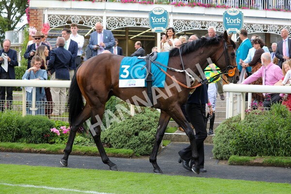 yr18082022r6-5 - Race 6 4.45 pm OR8wellness ebfstallions Nursery Handicap