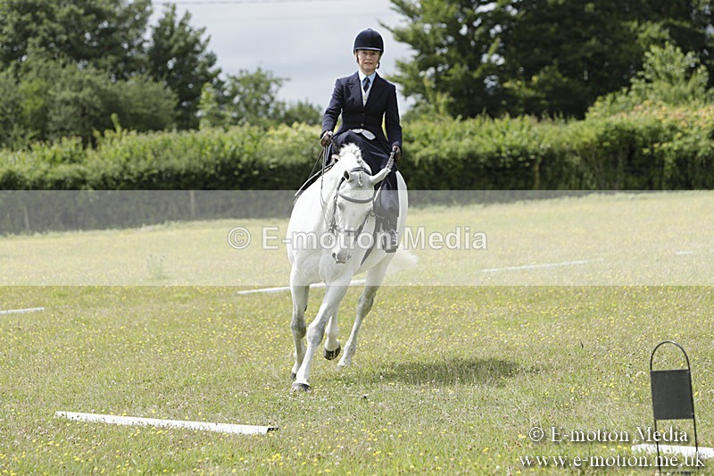 BVR160717-2062 - Class 4 & 5 Dressage 16/07/17