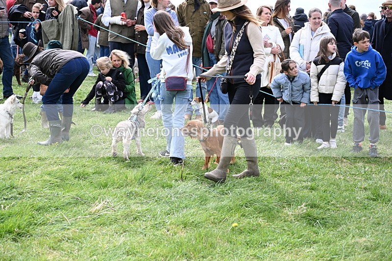 WJ6_8295 - Class 4 Prettiest Bitch