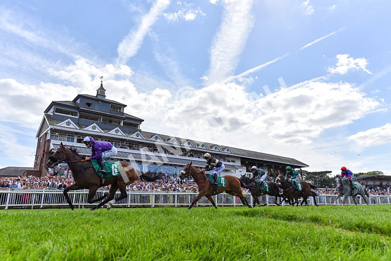 030824-Race 1-Mademoiselle-2391 - Race 1