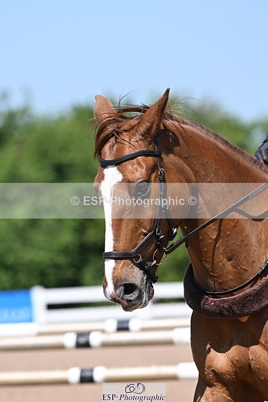 250514-112425-00218 - Discovery and 1m Open