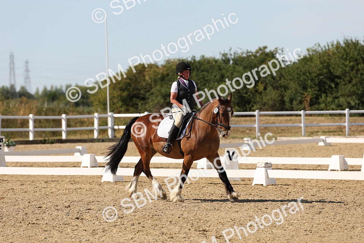 SBM_003799 - Elementary 4