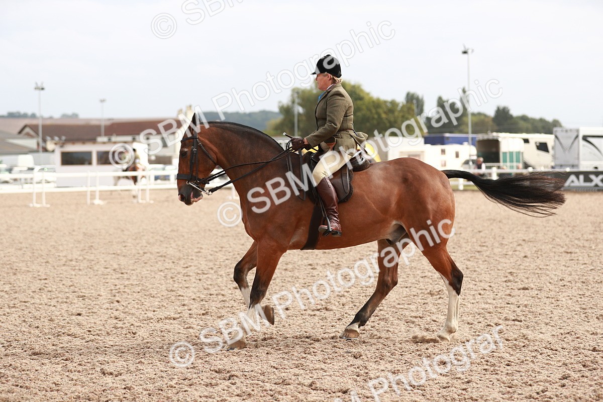 SBM_16808 - Class 214 Ridden Cob