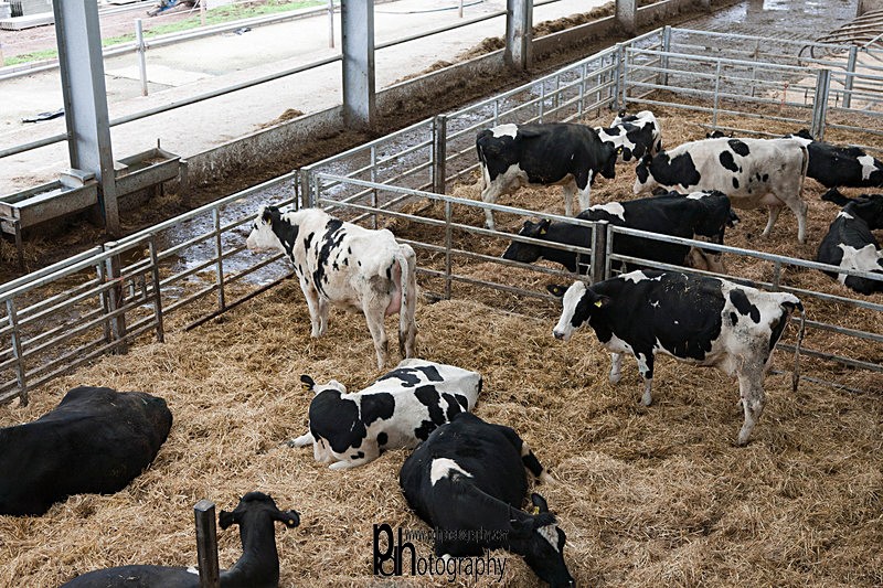 Milking Parlour - 33 - Products