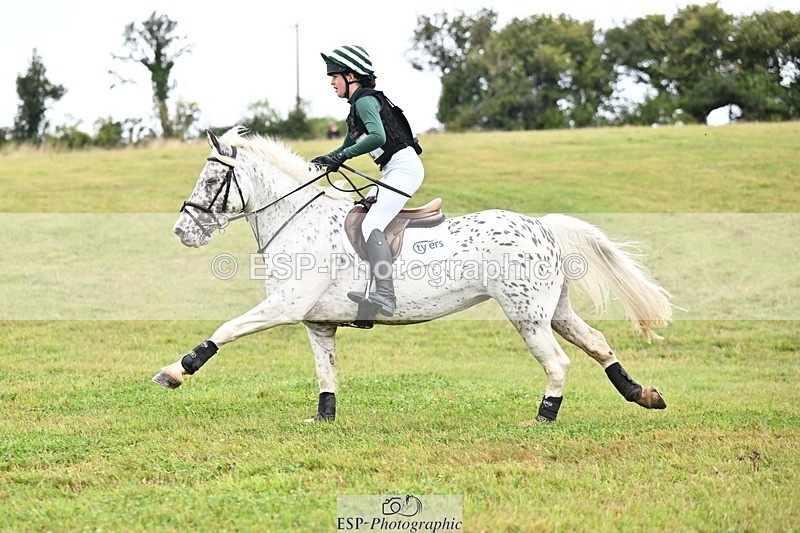 TS_b2364160 - SAT BE 90 Recovered Files fence 8