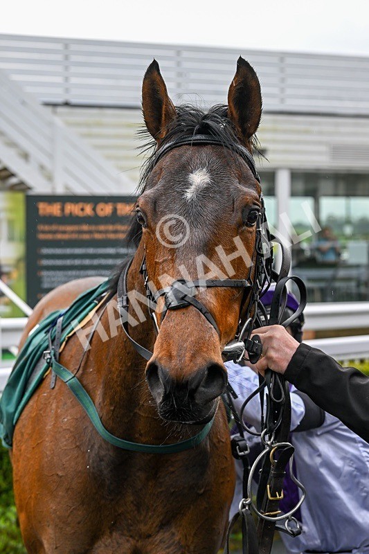  - Race 4