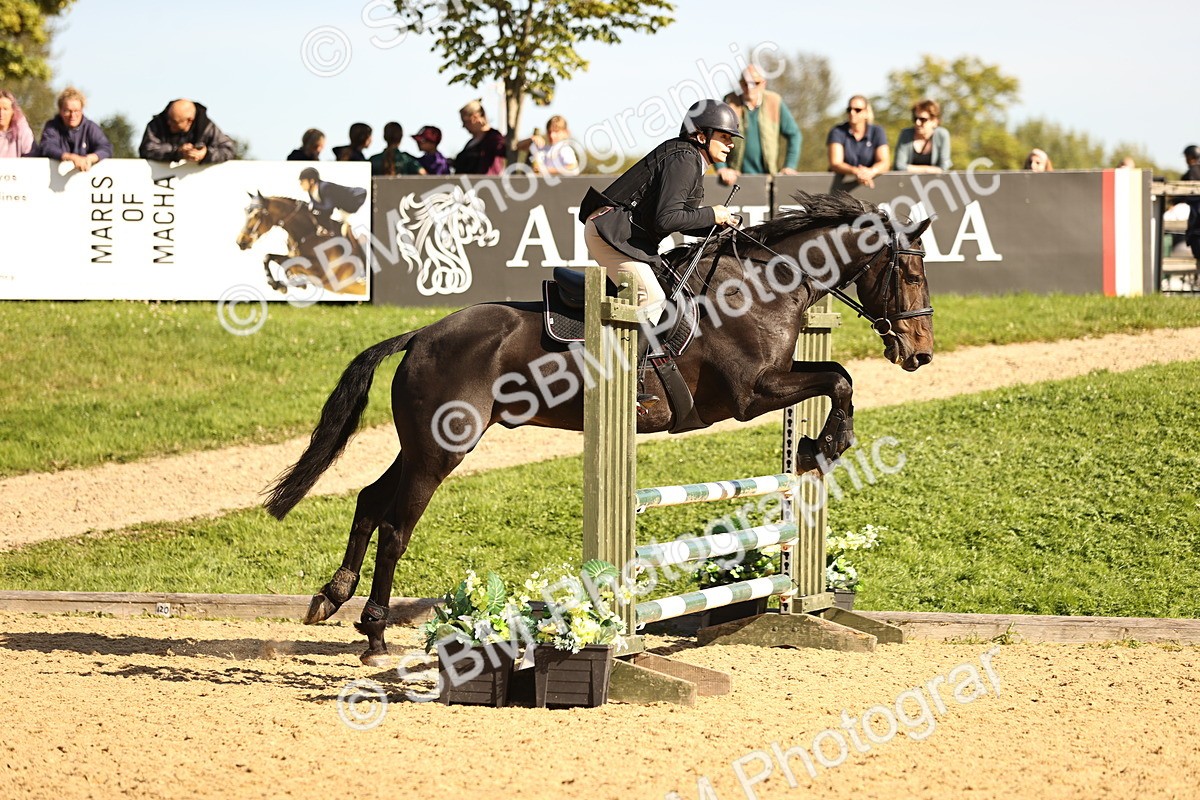 SBM_38151 - J39 - Senior 85cm Championship