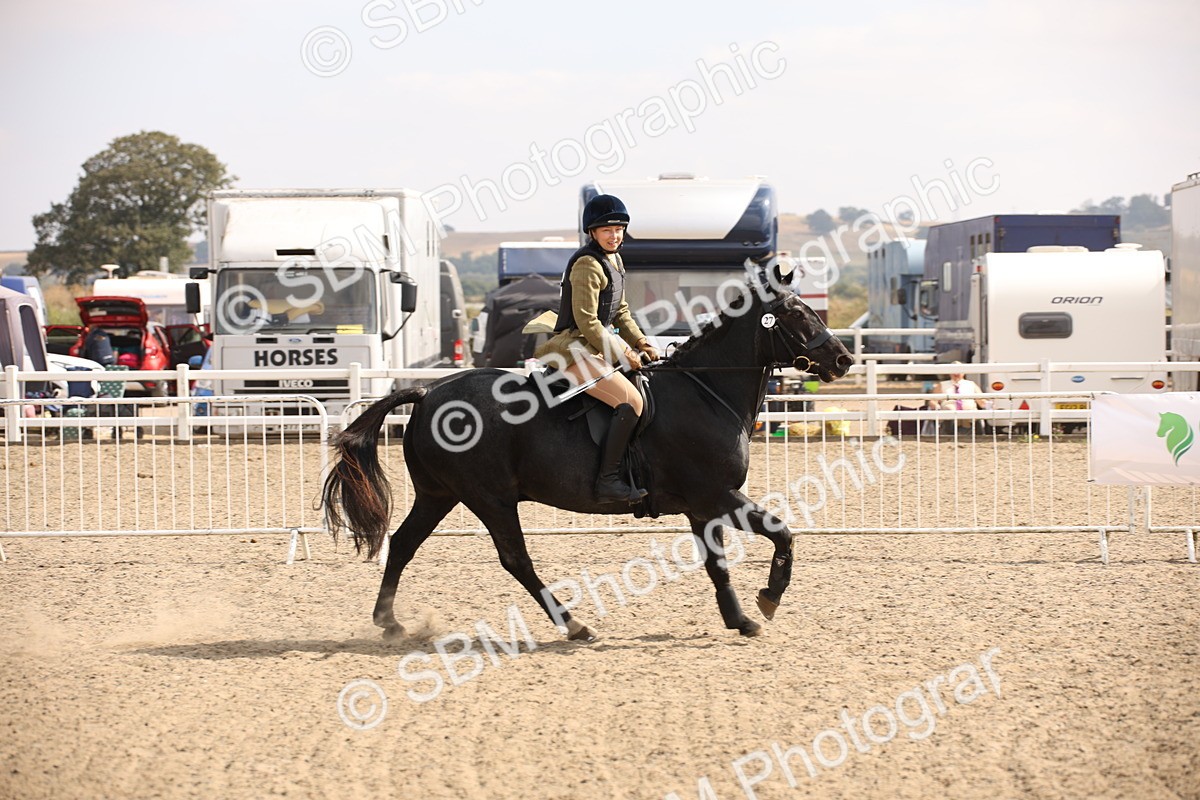 SBM_14317 - Class 407b - Working Veteran 60cm (20+)