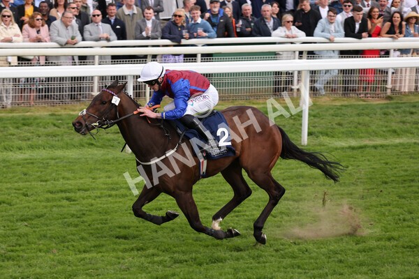 yr13052022r7-43 - Race 7 5.15pm Longines Irish Champions Weekend Stakes