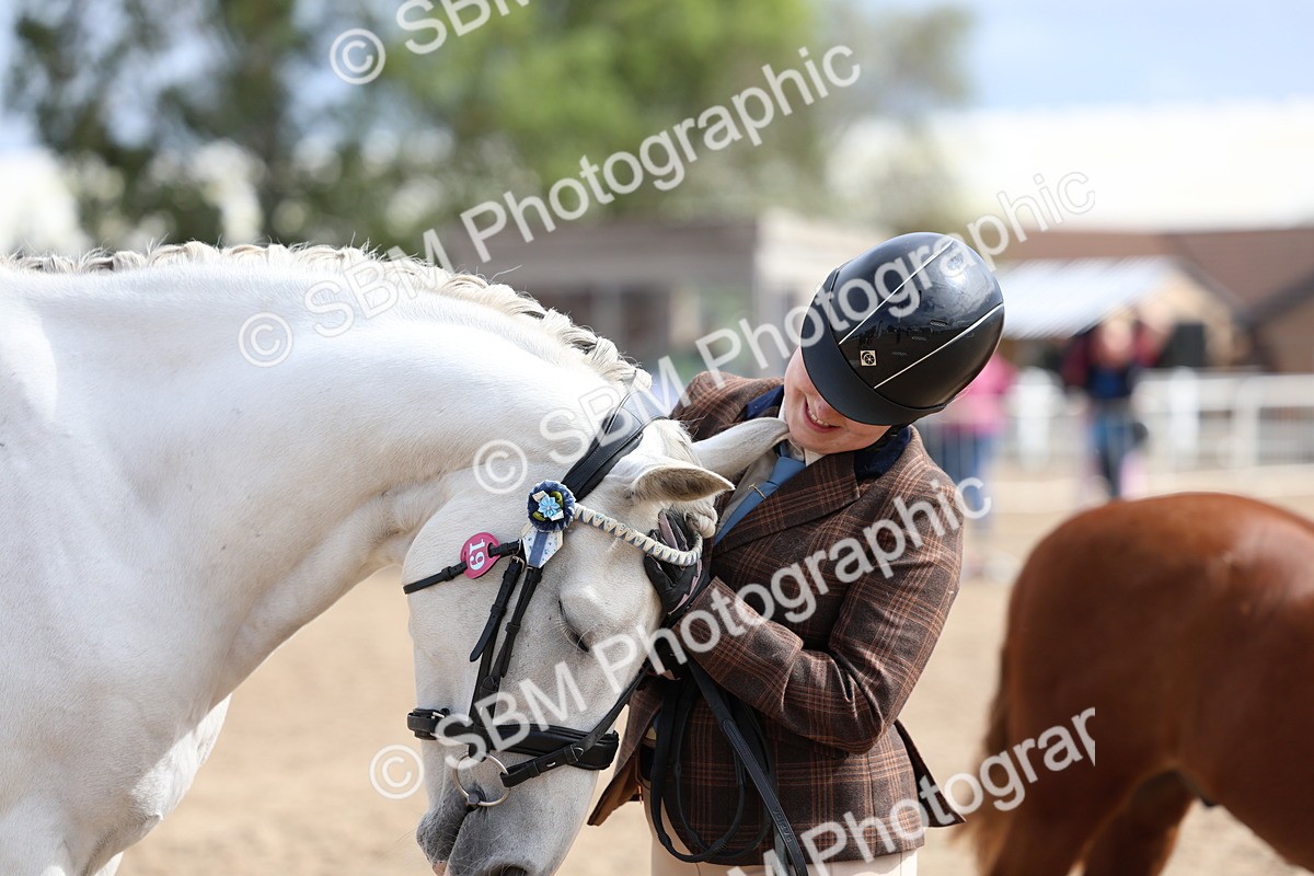 SBM_01879 - Class 18 - Handsomest Gelding - IH or Ridden