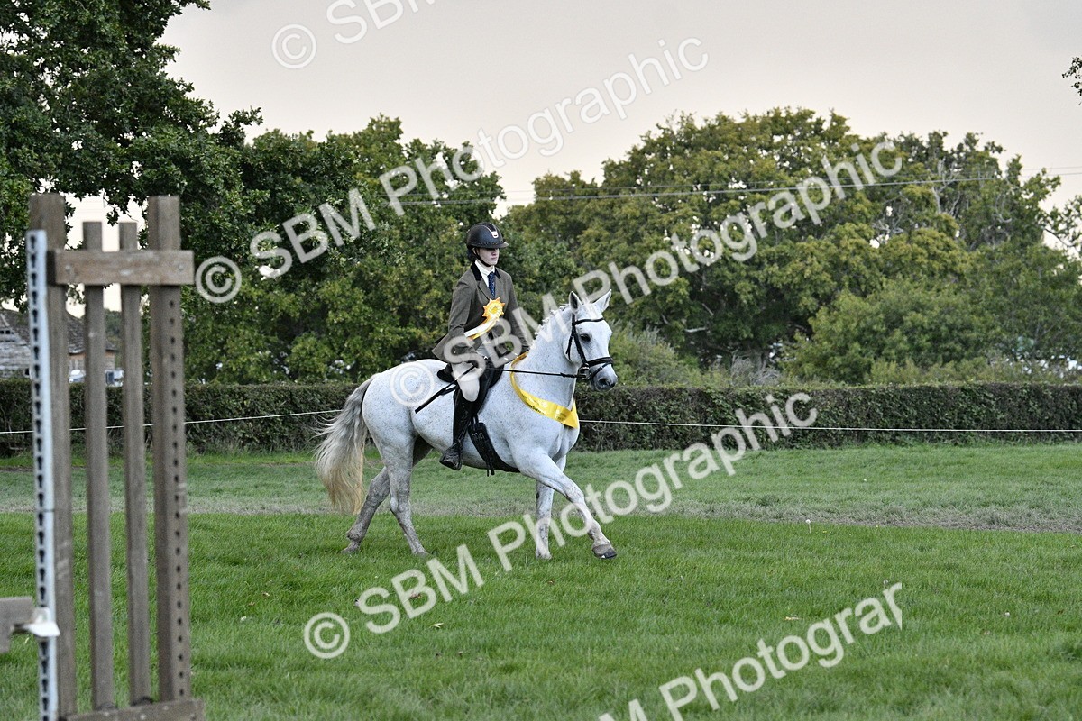 SBM_53307 - S14 - Riding Club Horse