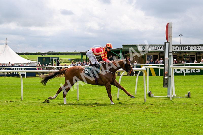 180624-Race 1-The Dancing Poet-9985 - Race 1