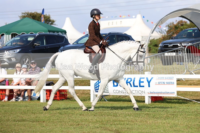 3E7A8476 - Class 3: Rising Star S/L Hunter