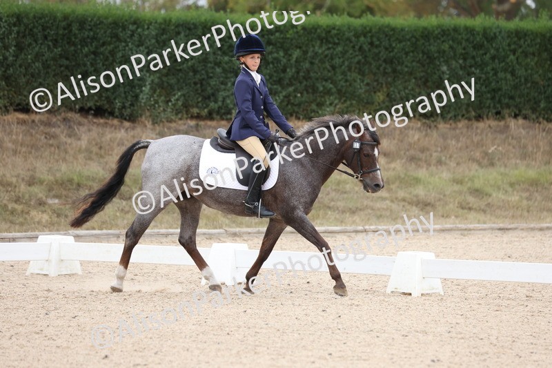 20250819-0888 - Class 2 - Prelim 1