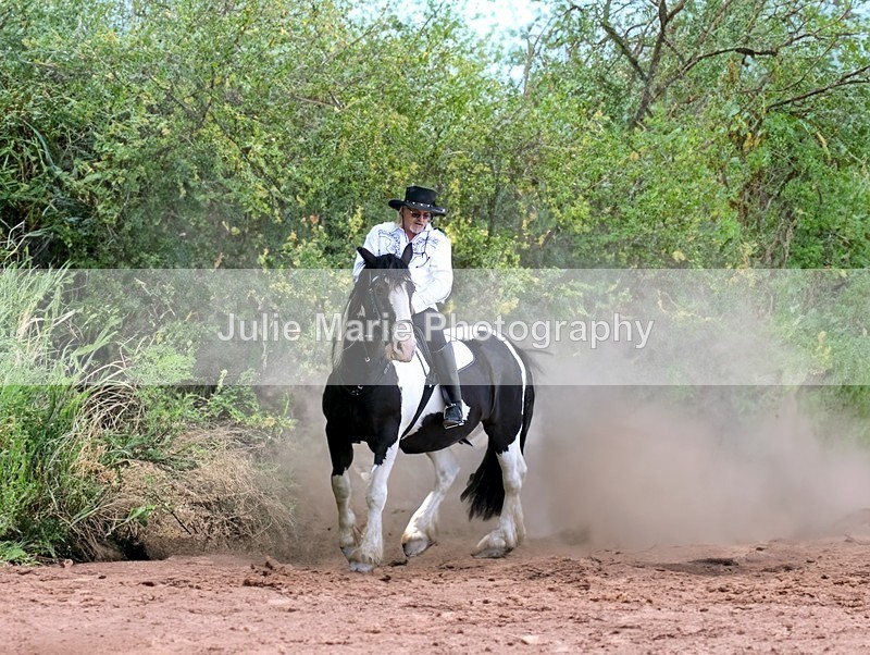 1 - Equine Photography