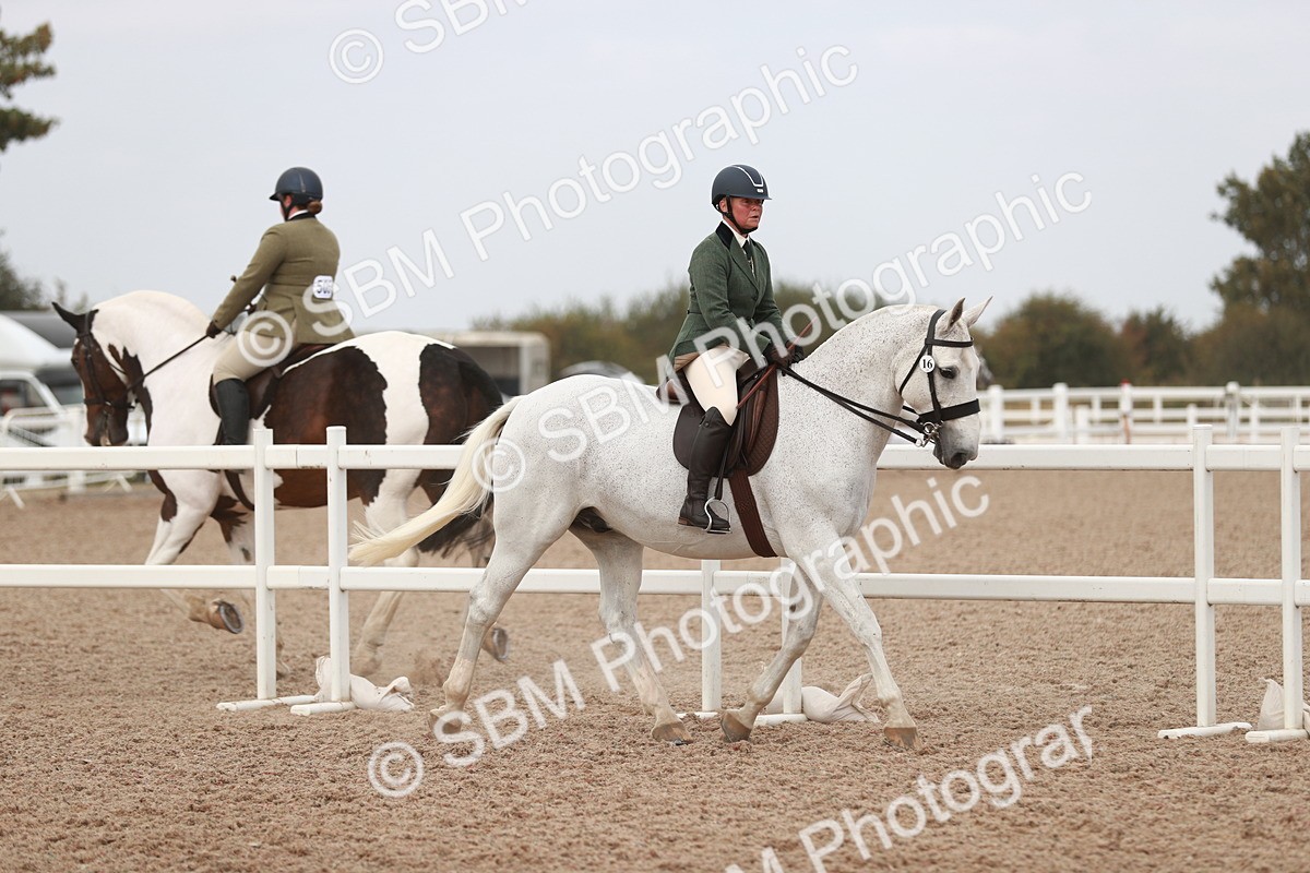 SBM_16647 - Class 214 Ridden Cob