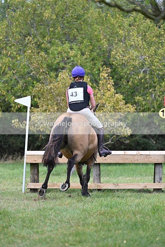 WJ7_8238 - 80cm XC Time 15:26 to 15:43