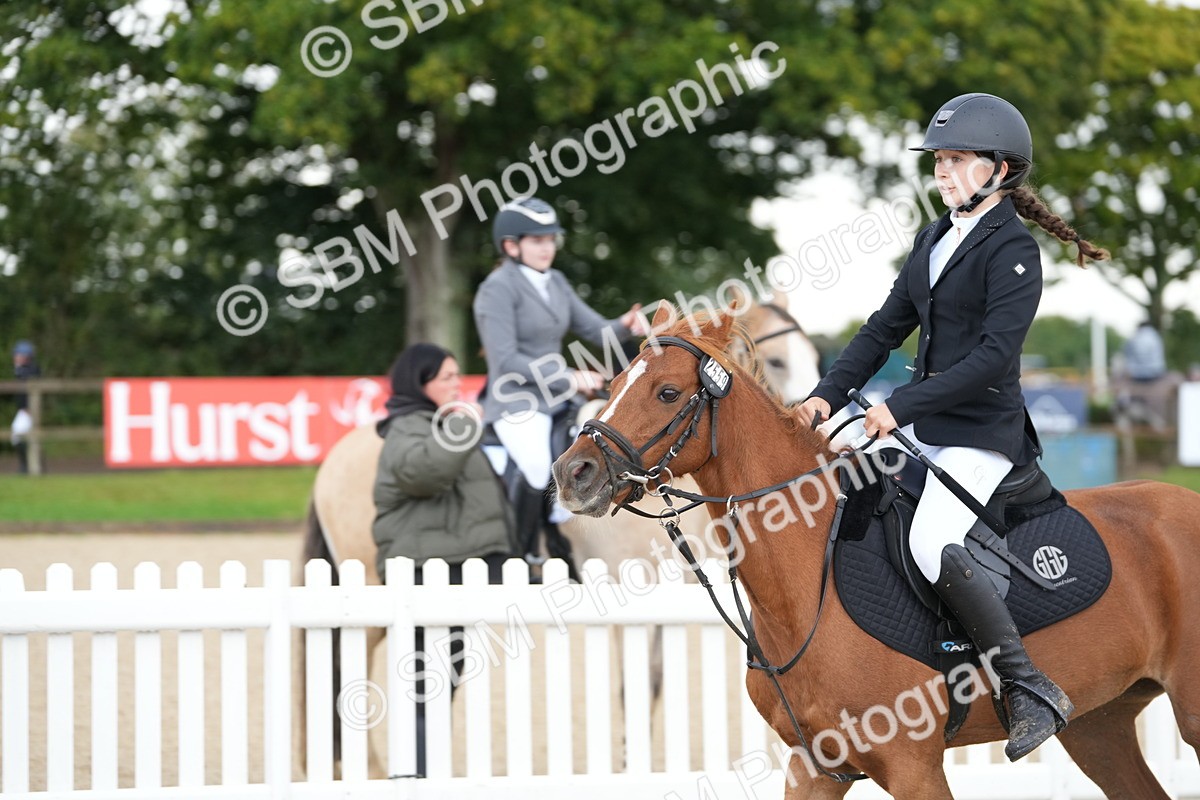 SBM_40024 - J6 - Junior Pony 55cm Championship
